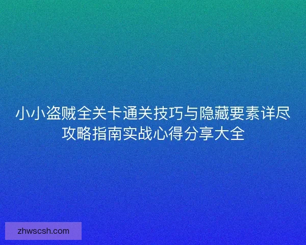 小小盗贼全关卡通关技巧与隐藏要素详尽攻略指南实战心得分享大全